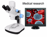 Medical Imaging (Radiology)